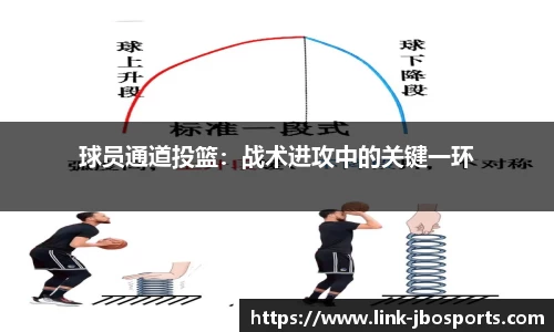 jbo竞博体育官方网站